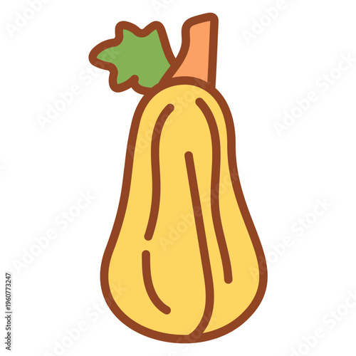 Butternut Squash Pumpkin Vector Illustration Isolated on White Background