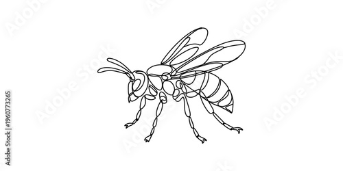 Elegant continuous line drawing of a wasp or hornet insect isolated on a white background.