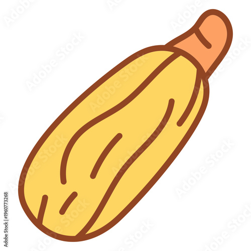 Butternut Squash Pumpkin Vector Illustration Isolated on White Background