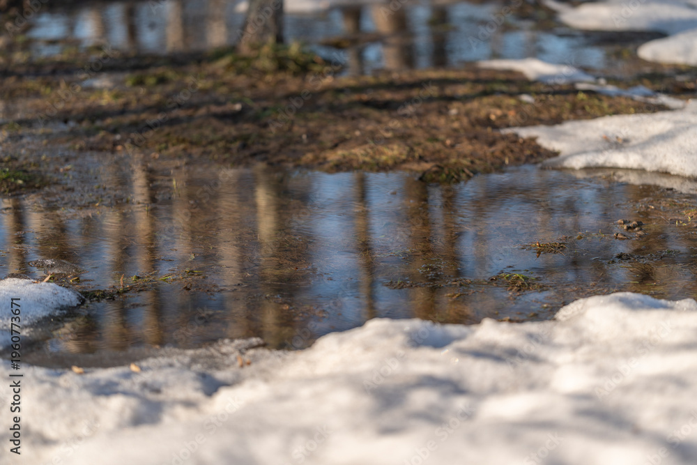 Obraz premium Ice melts away. Frozen water reveals peaceful woodland. Thawing ice unveils serene forest reflecting pools. Snow melting uncovers calm water bodies and forest ground surfaces