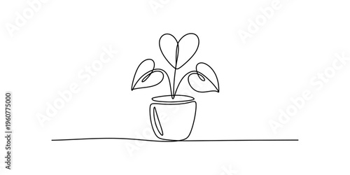 Continuous line drawing of a heart shaped leaf plant in a ceramic pot on white background.