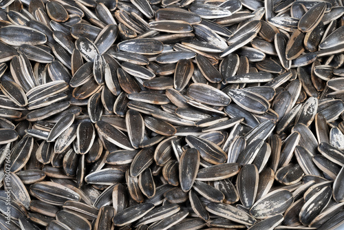 Bulk roasted sunflower seeds arrangement. Industrial scale pile of sunflower seeds. Wholesale packaging image showcasing dense quantities of roasted sunflower seeds