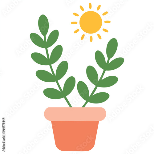 Phototropism Biology Vector Illustration Showing Plant Growth Direction Towards Sun