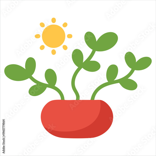 Educational Biology Explanation of Phototropism with Plant Growing to Sunlight