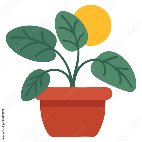 Plant Behaviour Illustration Depicting Growth Towards Light with Auxin Hormone