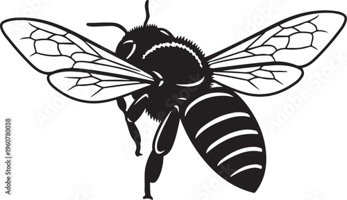 Black bee icon, insect illustration, striped bug, flying animal vector