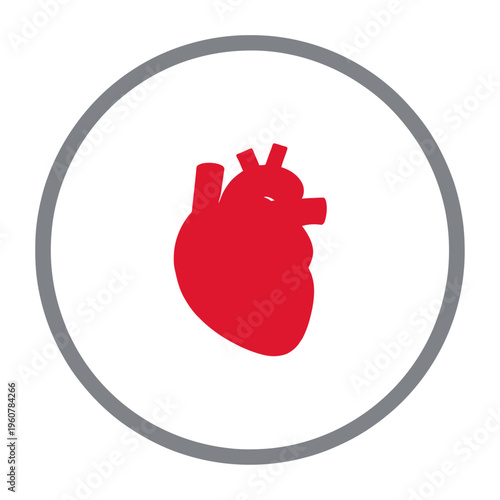 Red vector heart icon centered within a circular frame