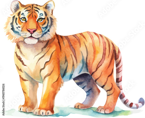Watercolor Tiger Clipart, Exotic Wildlife Animal Illustration, Isolated on White