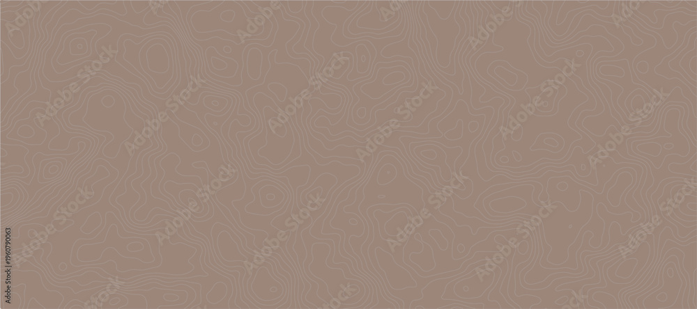 Fototapeta premium Topographic Contour Map Pattern Background Beige Abstract Terrain Lines and Minimal Texture