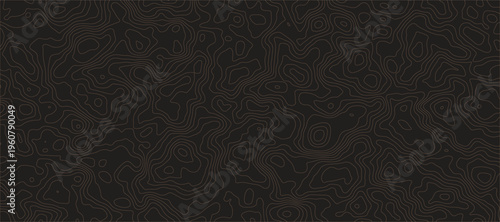  dark brown background with intricate light brown topographic line patterns.