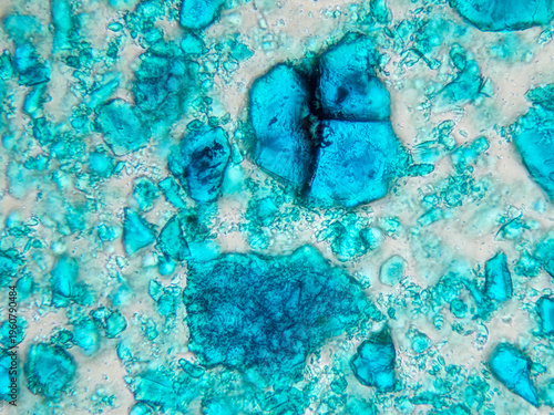 Photography Close up micrograph of verdigris crystals with sharp angular turquoise fragments