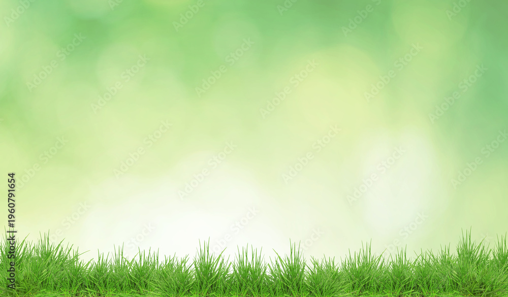 Fototapeta premium Lush spring grass against blurred green background with bokeh lights. Banner design