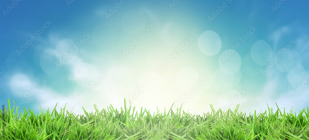 Fototapeta premium Vibrant spring grass under beautiful sky. Banner design