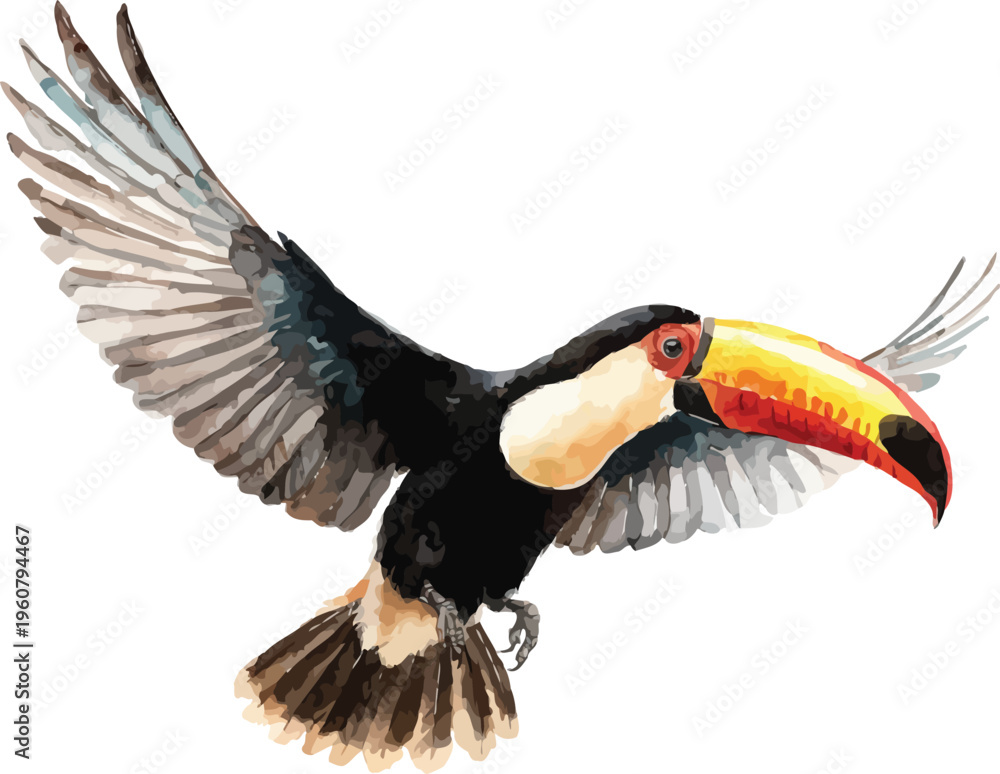Naklejka premium Watercolor Toucan, Tropical Bird Clipart, vector illustration isolated on white background