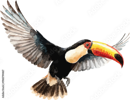Watercolor Toucan, Tropical Bird Clipart, vector illustration isolated on white background