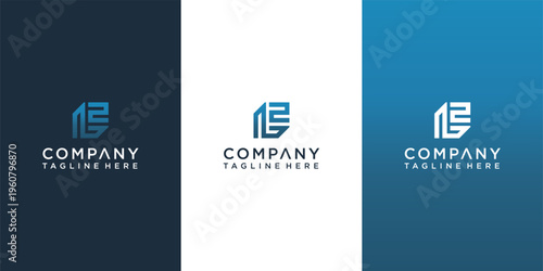 Collection of company logo designs variations.