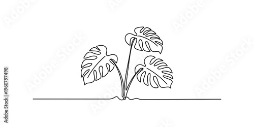 Continuous line drawing of a monstera plant with three large tropical leaves on a white background.