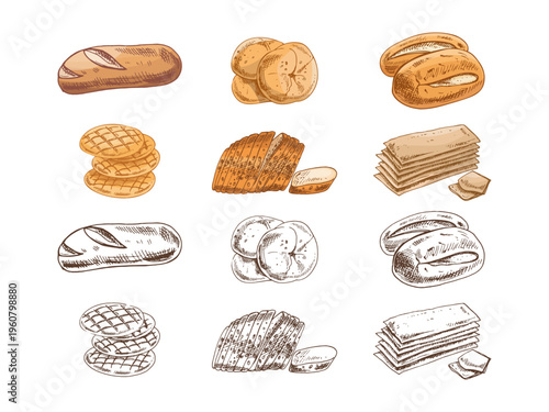 Hand drawn vintage bakery bread set with color and monochrome baguette buns crackers and sliced loaf