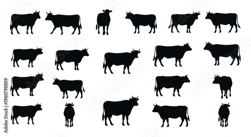 Cattle Silhouettes Collection: Various Poses and Angles of Cows