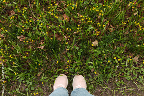 Fotografie feet, grass, standing, top view, nature, lifestyle, outdoors, spring, green, hum