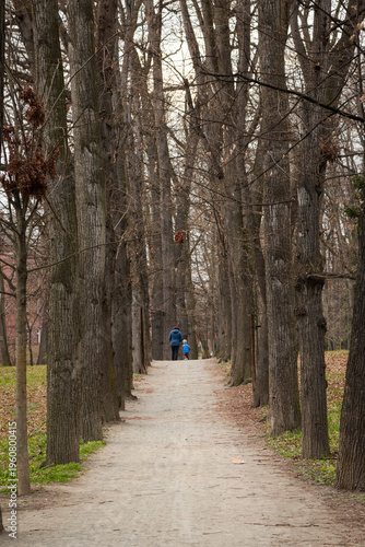 Tableau sur toile atmosphere, avenue, background, calm, calm mood, countryside, depth, direction,