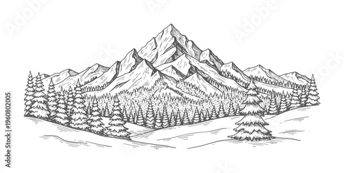 Hand drawn of snow capped mountains and pine forest peak