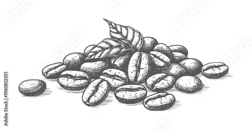 Hand drawn pile of coffee beans with leaves in vintage style