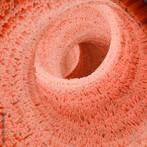 Canvastavla Abstract intestinal villi tunnel close up 3D render