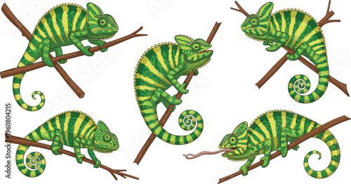 Set of detailed vector illustrations featuring green striped chameleons perched on wooden branches in various poses, isolated on a white background.