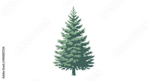 Evergreen Pine Tree Illustration, Coniferous Forest Silhouette, Isolated on White Background