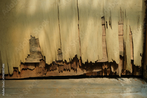 Close-up of a heavily deteriorated wooden door with severe termite damage, peeling layers, and crumbling texture near the base. Concept of pest infestation, decay, poor maintenance,and need for repair