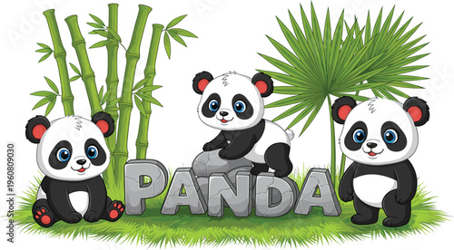 Vector illustration of cute giant panda characters with bamboo palm trees and stone typography for children's education zoo branding and wildlife conservation.