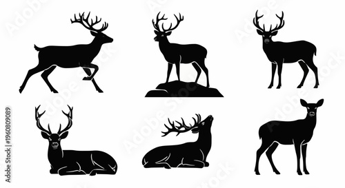 Six Deer Silhouettes in Varied Poses on White Background – Graphic Illustration Emphasizing Antlers, Posture, Arrangement from Front View