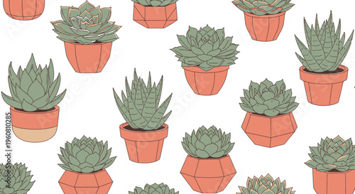 Succulent Plants Pattern, Potted Green Plants, Terracotta Pots, White Background