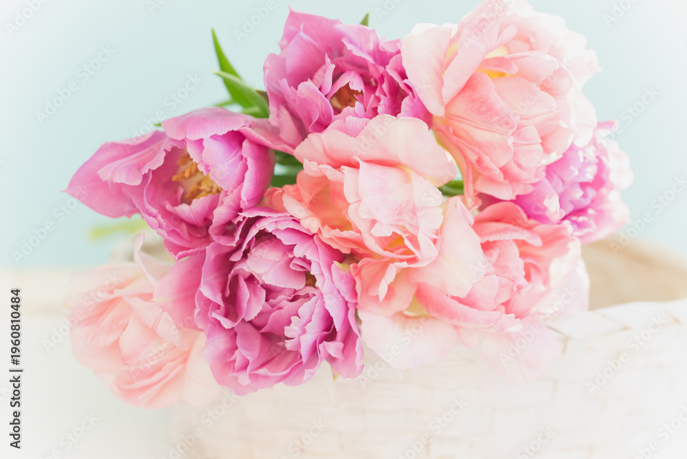 Fototapeta premium spring greeting background with pink and purple flowers. Romantic spring floral composition perfect for Mothers Day, greeting cards, weddings, and feminine design themes.