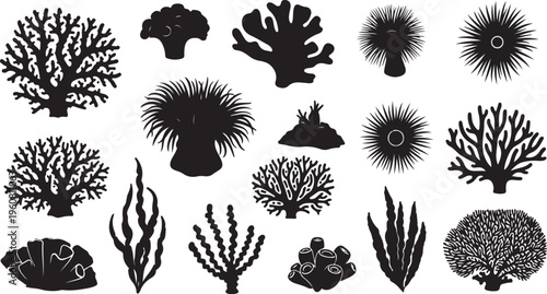 Black Silhouettes of Various Coral Reef Forms and Shapes