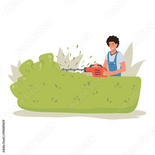 A professional gardener trims a plant with a hedge trimmer in a garden against a white background. Trimming a green hedge in a park or garden.