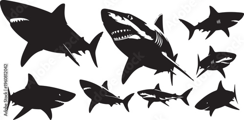 Black silhouettes of various shark species on white background