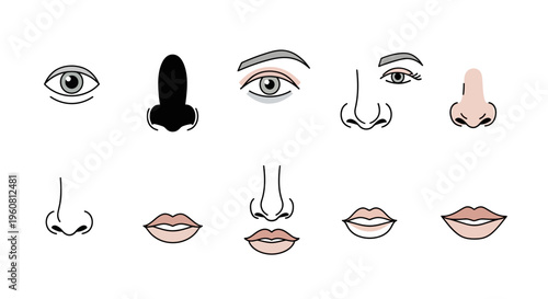Various Human Facial Features: Eyes, Noses, and Lips