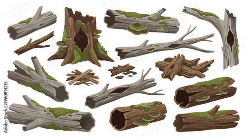 Collection of weathered and moss covered logs and tree stumps in various states of decay and decomposition, natural forest elements