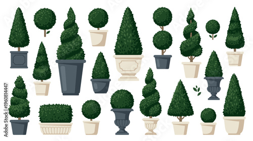 Collection of diverse topiary plants in decorative pots and planters showcasing elegant garden design and landscape elements