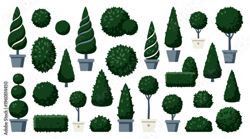 Collection of various green garden plants and trees in pots, topiary art, manicured shrubs, and decorative bushes for landscape design and outdoor decor