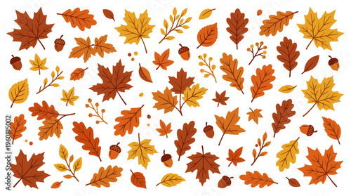 Autumn leaves and acorns scattered on a white background, fall season natural elements, seasonal decoration and design