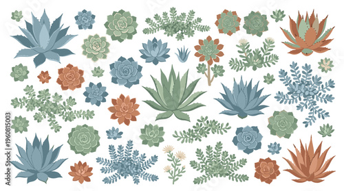 Collection of diverse succulent plants in various shapes and colors, isolated on a white background, perfect for botanical illustrations and home decor designs