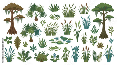 Collection of swamp and wetland plants including cypress trees, cattails, irises, ferns, and lily pads in a flat design style