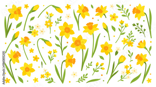 Vibrant Spring Daffodil Flower Collection Seamless Pattern Illustration Isolated on White Background