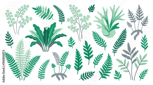 Collection of diverse green fern leaves and tropical plants in a flat design style isolated on a white background