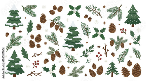 Festive Christmas elements collection with pine cones fir branches holly berries and snowflakes on white background for winter holiday design