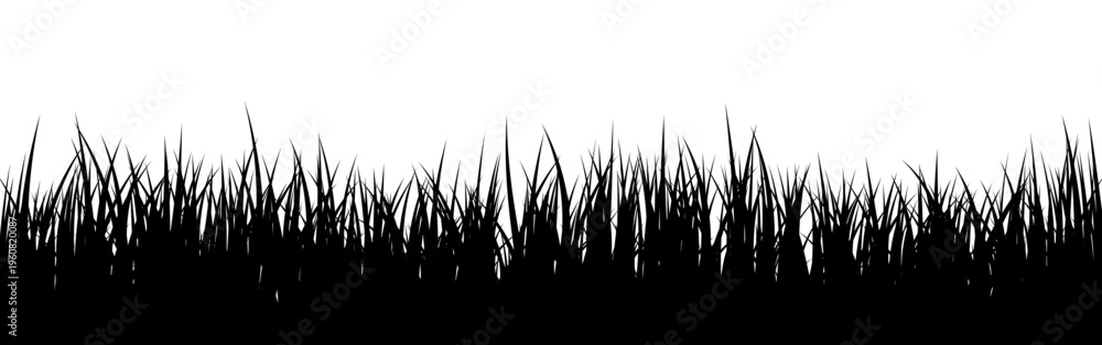 Obraz premium Meadow silhouette with grass, plants on plain. Panoramic summer lawn landscape with herbs, various weeds. Herbal border, frame element. Black horizontal banners. Vector illustration