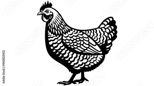 Black and White Illustration of a Chicken Standing on a White Background